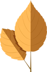 Fall-Leaf-02