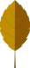 Fall-Leaf-05