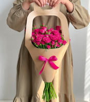 مینیاتوری سرخابی